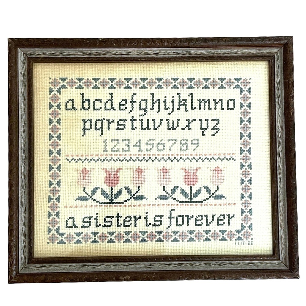 Vintage 1988 Handmade Cross Stitch Sampler A Sister Is Forever Framed Wall Art